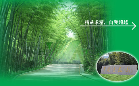 Ҏ(gu)填料—环保填料新概念